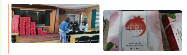 正点游戏·(中国区)官方网站